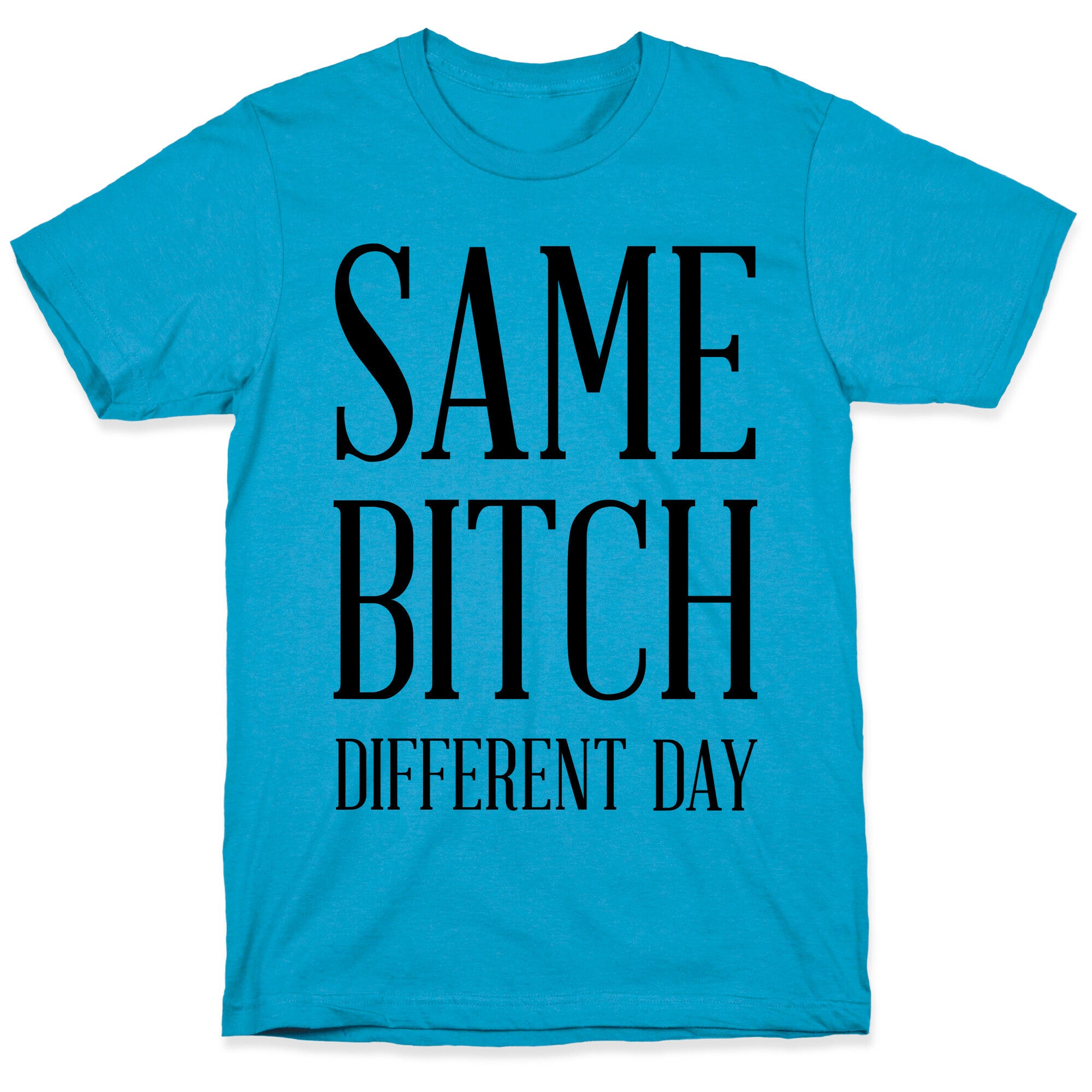 Same Bitch Different Day Unisex Triblend Tee